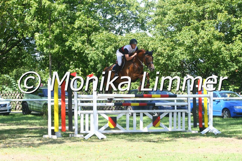 308M1739_Anblick_Spring Mxx.JPG